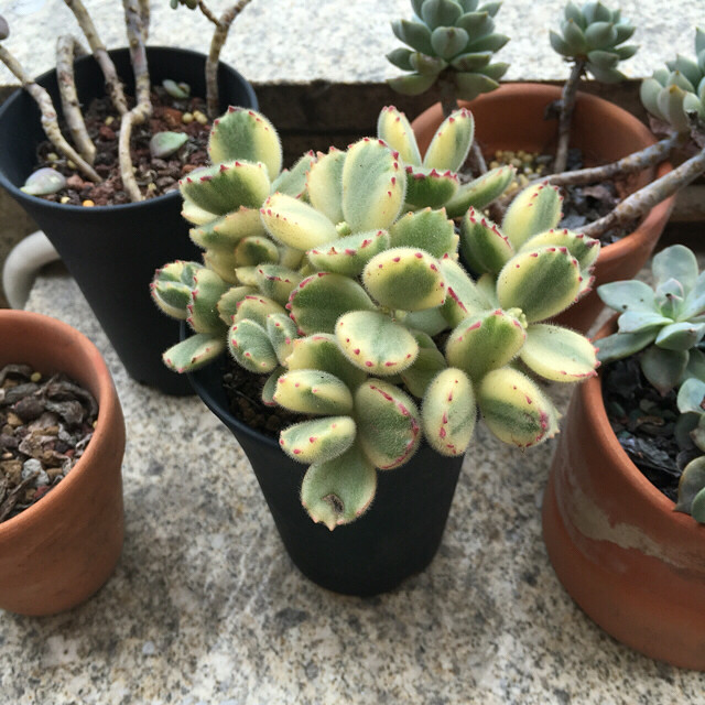 һ���û��ˮ�����¼���ˮ�������춼��Ծ��