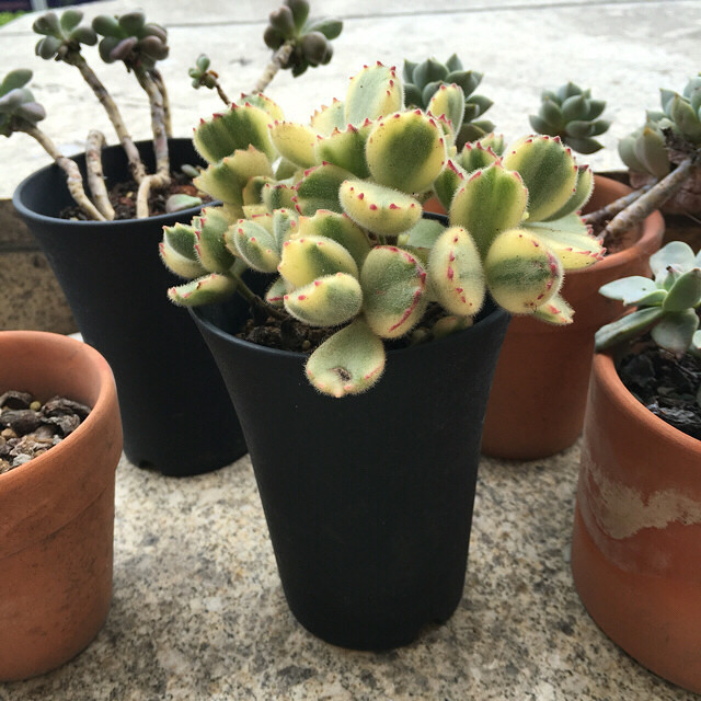 һ���û��ˮ�����¼���ˮ�������춼��Ծ��