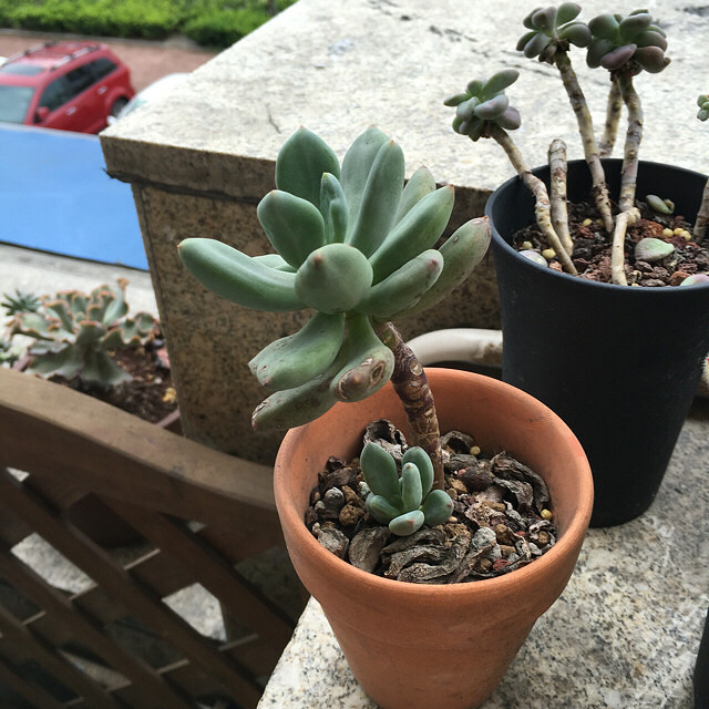 һ���û��ˮ�����¼���ˮ�������춼��Ծ��