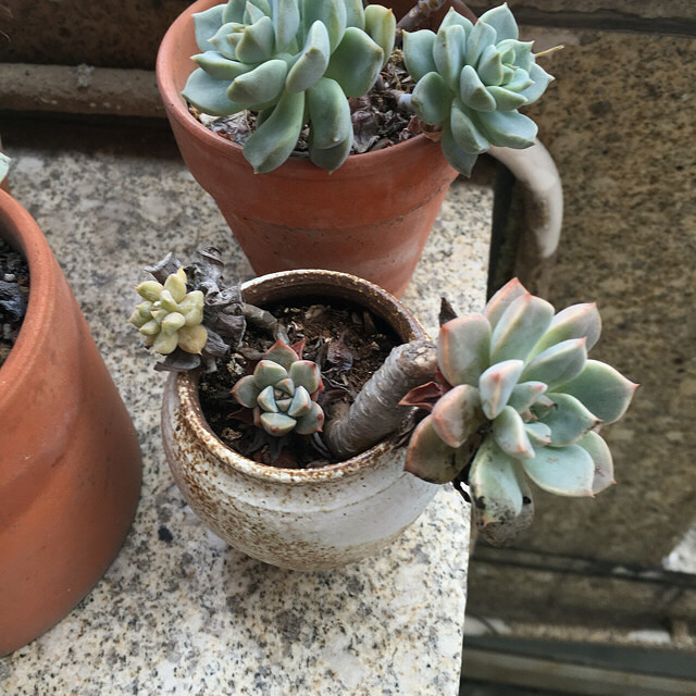 һ���û��ˮ�����¼���ˮ�������춼��Ծ��