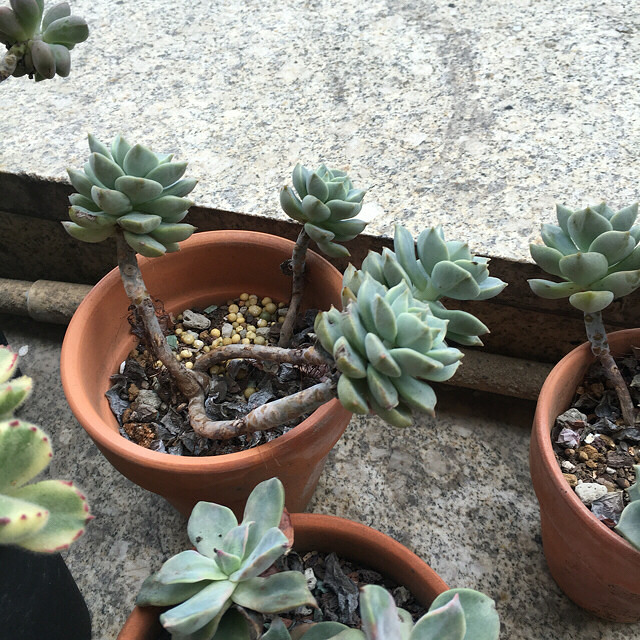 һ���û��ˮ�����¼���ˮ�������춼��Ծ��