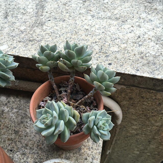 һ���û��ˮ�����¼���ˮ�������춼��Ծ��