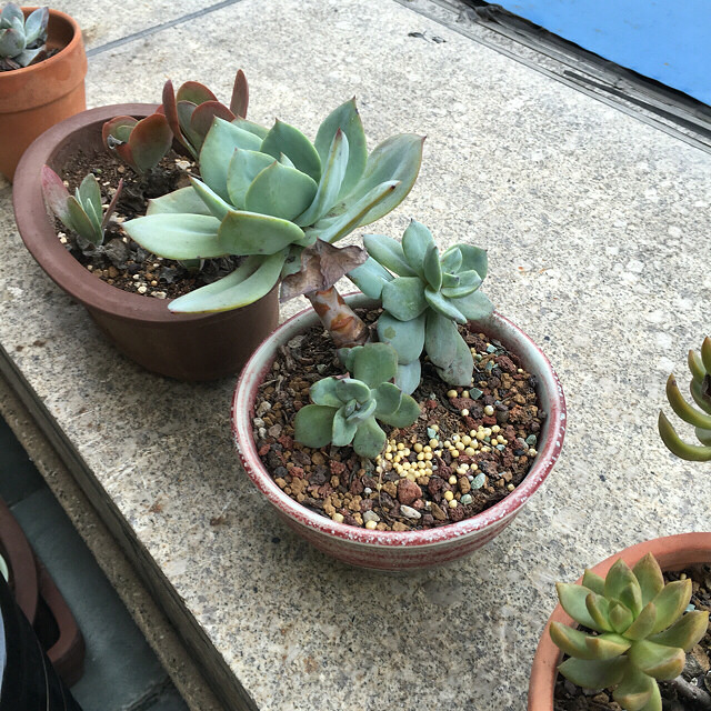 һ���û��ˮ�����¼���ˮ�������춼��Ծ��