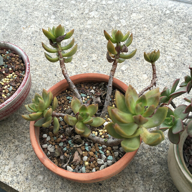 һ���û��ˮ�����¼���ˮ�������춼��Ծ��