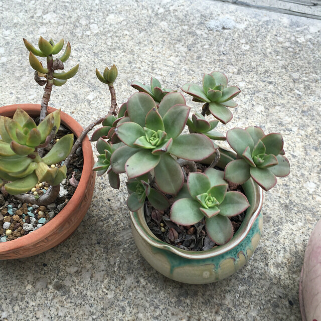 һ���û��ˮ�����¼���ˮ�������춼��Ծ��