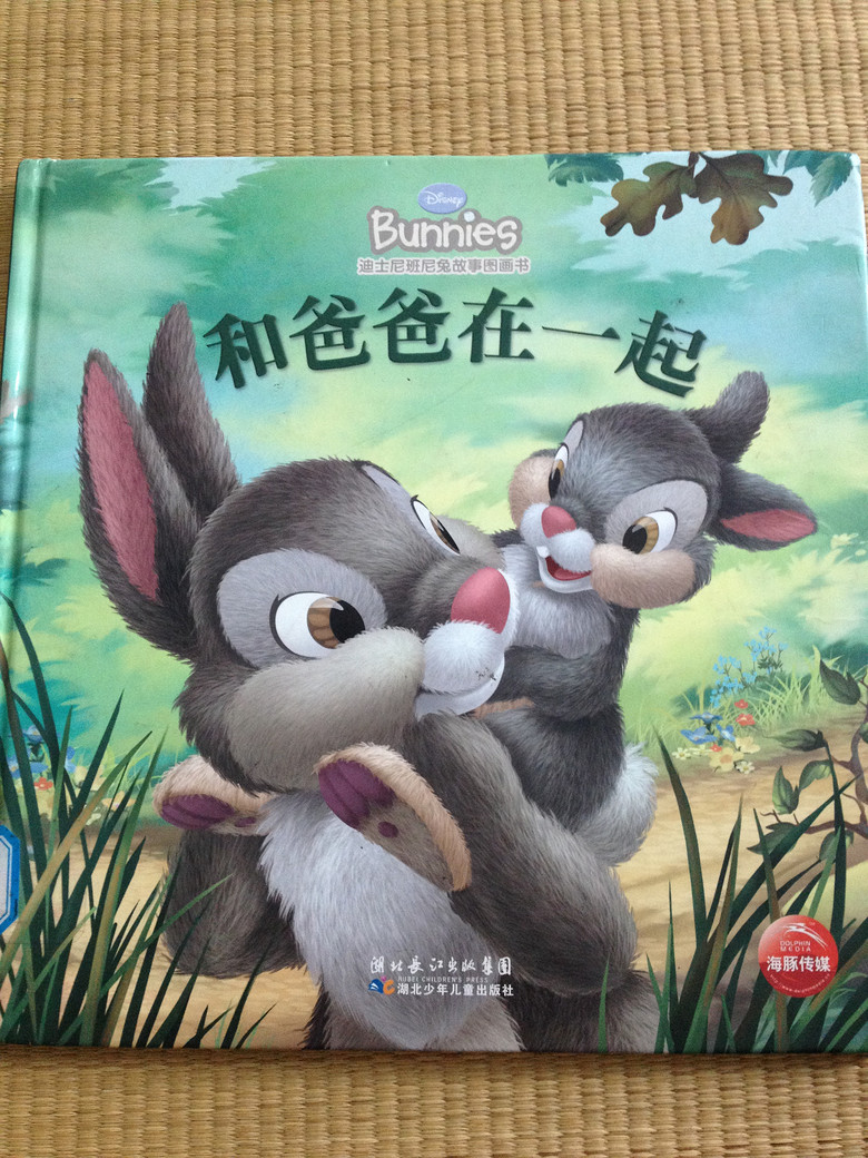 ��6�»汾���Ͱְ���һ��
