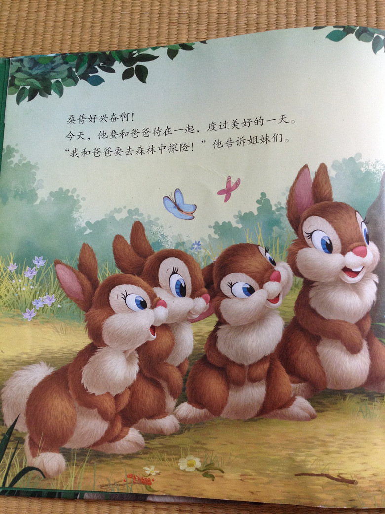 ��6�»汾���Ͱְ���һ��