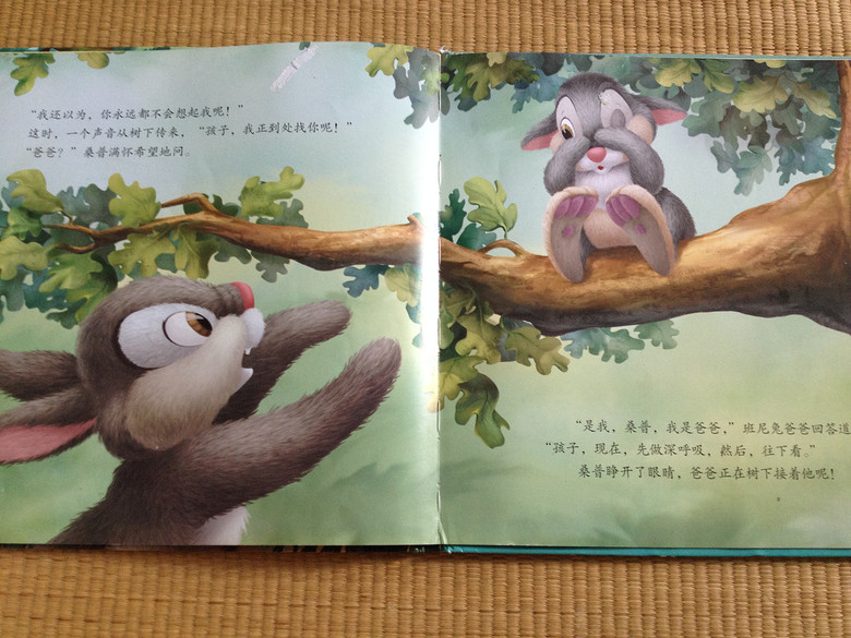��6�»汾���Ͱְ���һ��
