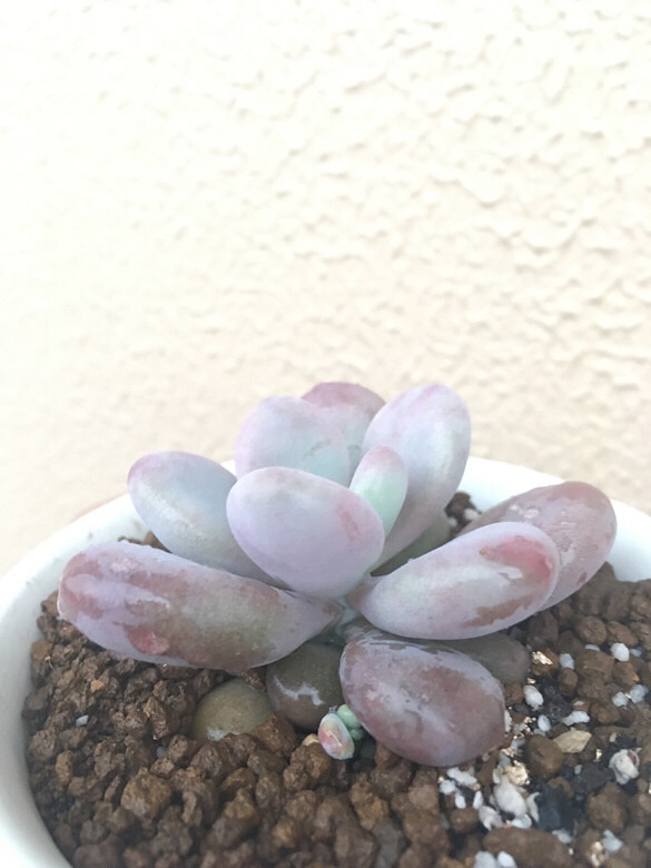 ����¶��֮�ر����ܣ���ˮ