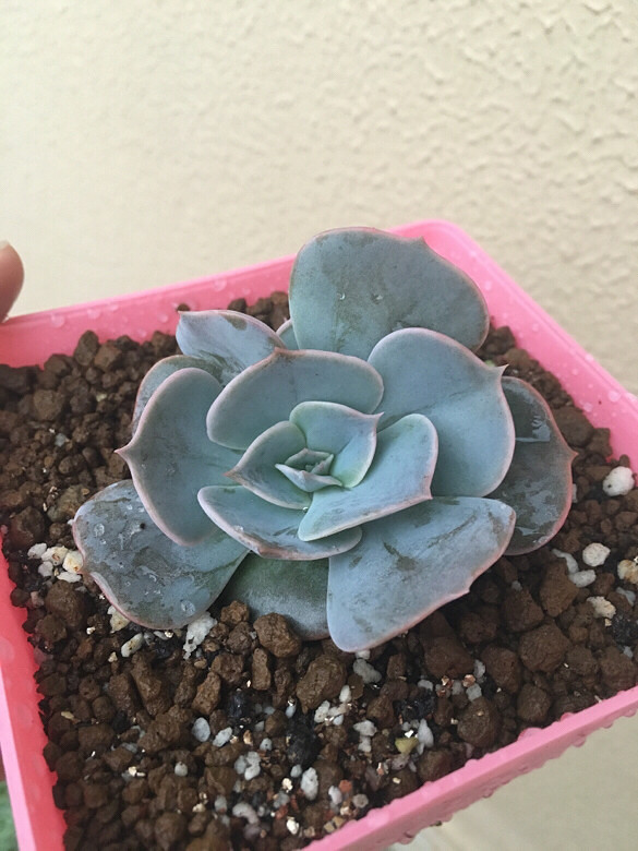 ����¶��֮�ر����ܣ���ˮ