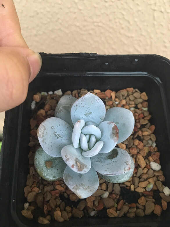 ����¶��֮�ر����ܣ���ˮ