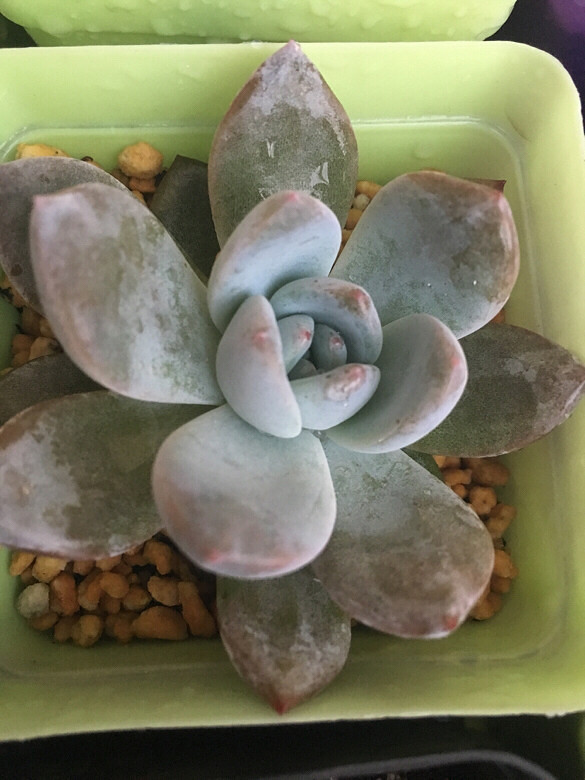 ����¶��֮�ر����ܣ���ˮ