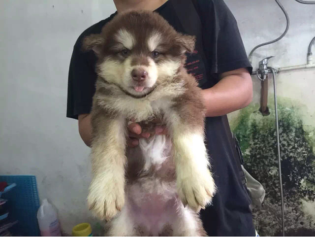 ��ϲ������ϵ�ң�΢��13867619714