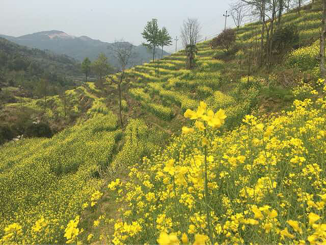 ��ϲ���Ͳ˻�