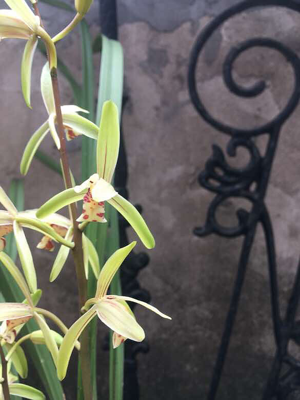 ��������