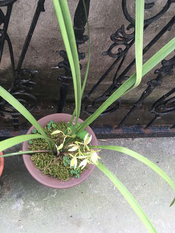 ��������