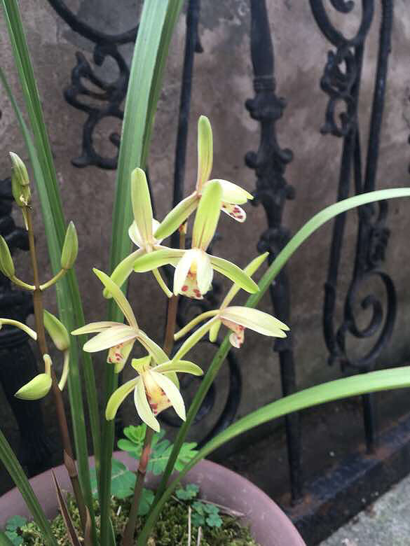 ��������