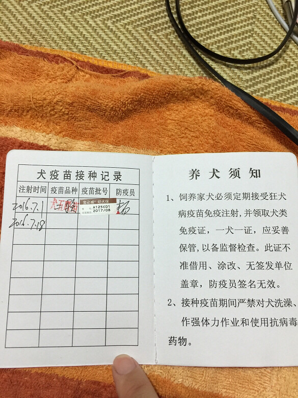 ���������ô����