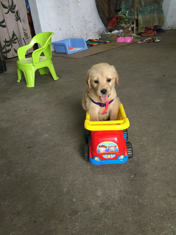 ���������ô����