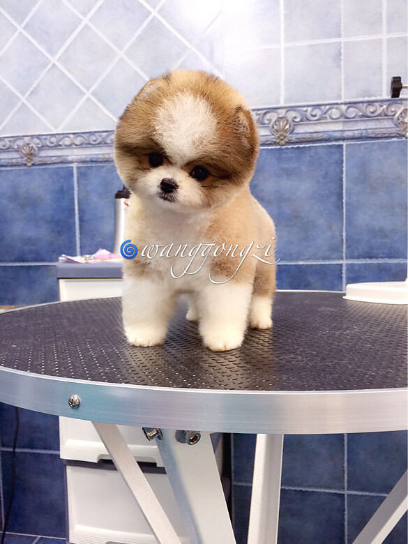 ������ı�������