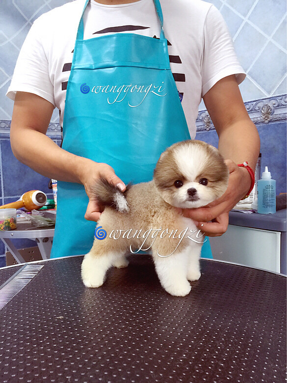 ������ı�������