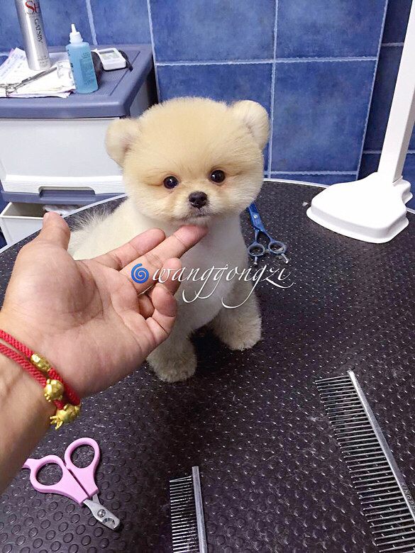 ������ı�������