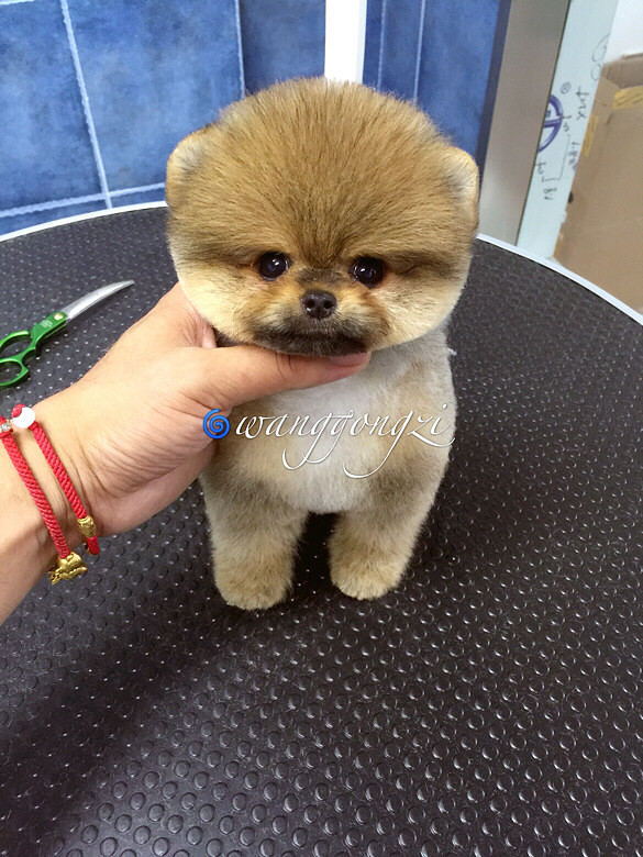 ������ı�������