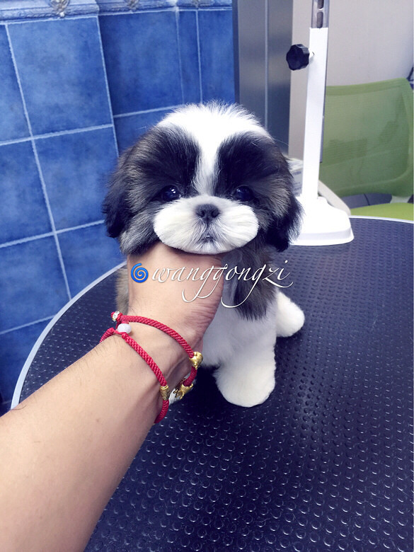 ������ı�������