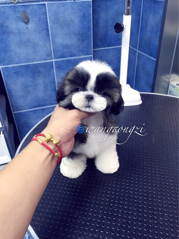 ������ı�������