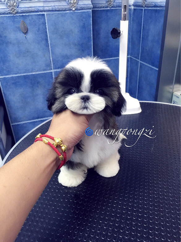 ������ı�������