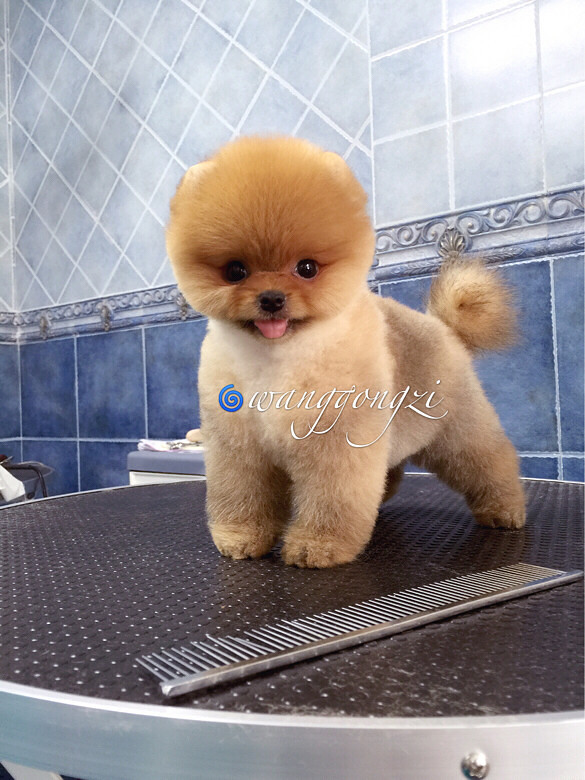 ������ı�������