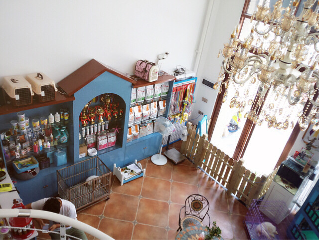 ����һ���бƸ�ĳ����