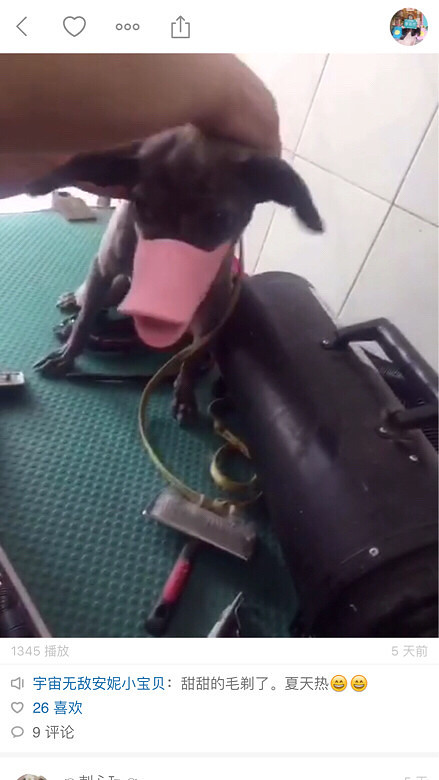 ���������⹫Ԣ�����ļ�����ֻ�����鷳��ϵ