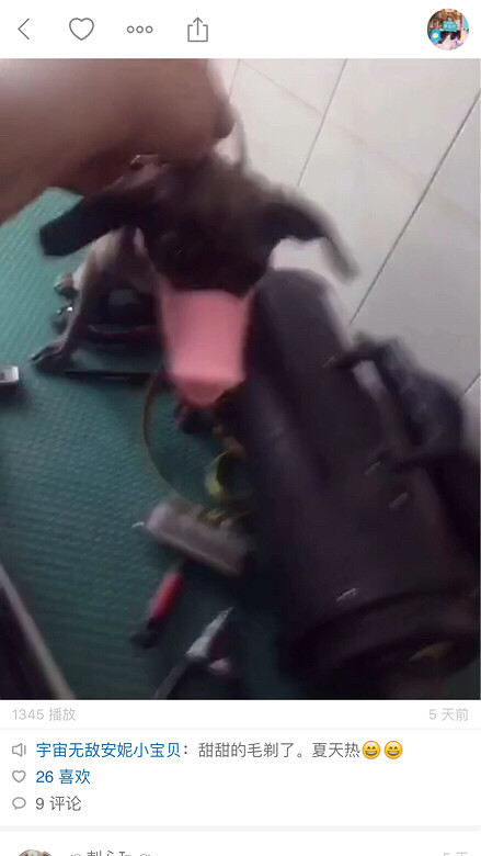 ���������⹫Ԣ�����ļ�����ֻ�����鷳��ϵ