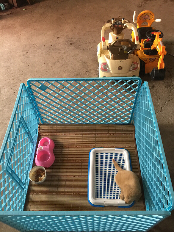 ��������ʲô�����һ��ǳ����ӵ��ˡ�����