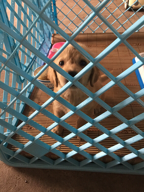 ��������ʲô�����һ��ǳ����ӵ��ˡ�����