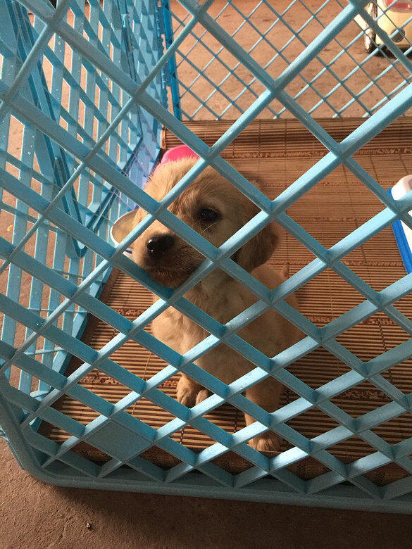 ��������ʲô�����һ��ǳ����ӵ��ˡ�����