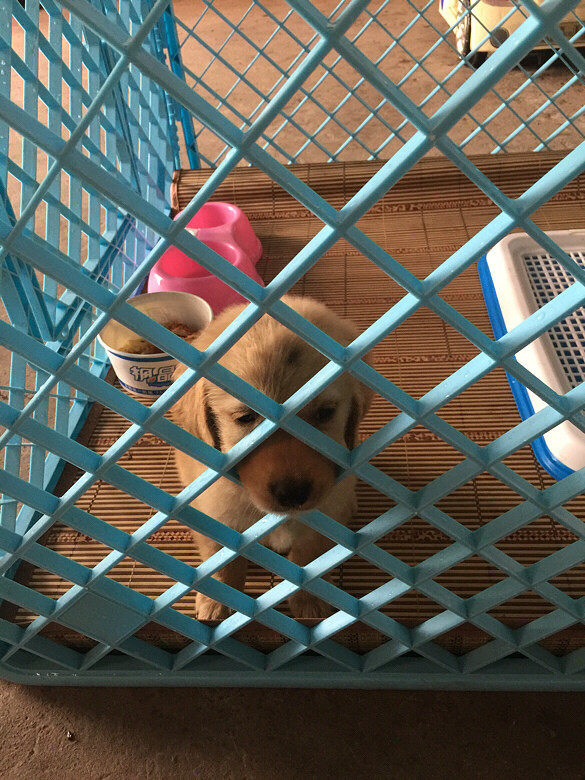 ��������ʲô�����һ��ǳ����ӵ��ˡ�����