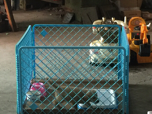 ��������ʲô�����һ��ǳ����ӵ��ˡ�����