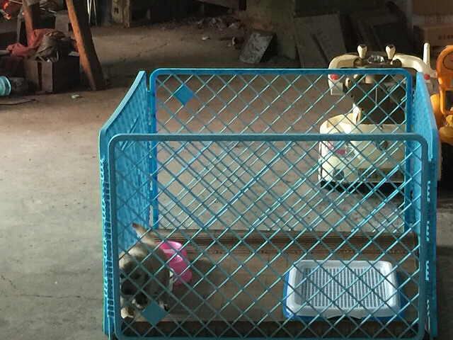 ��������ʲô�����һ��ǳ����ӵ��ˡ�����