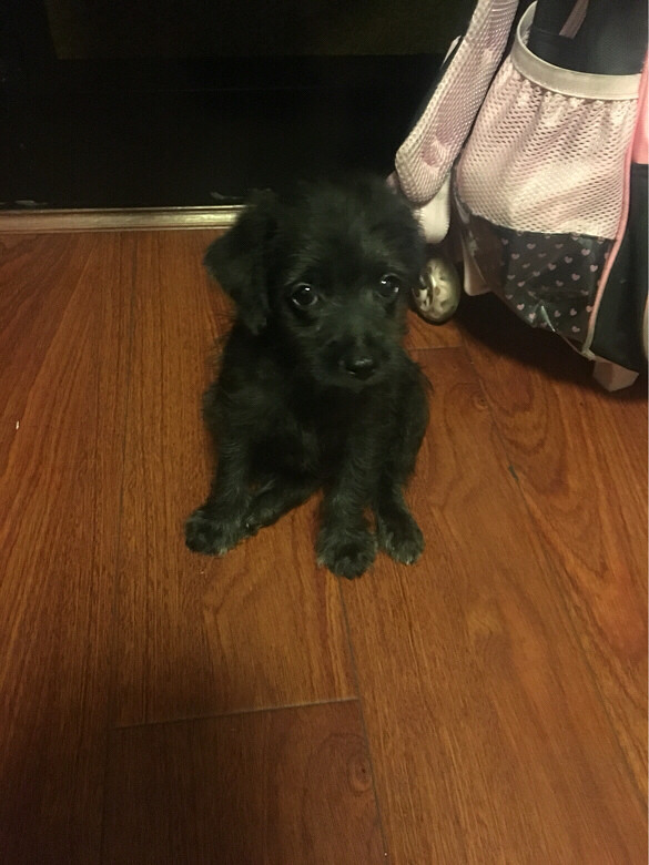 �ܿɰ���С�ڹ���45�죬�ܻ��ã�������