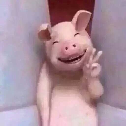 ������һ�����ֵ�����