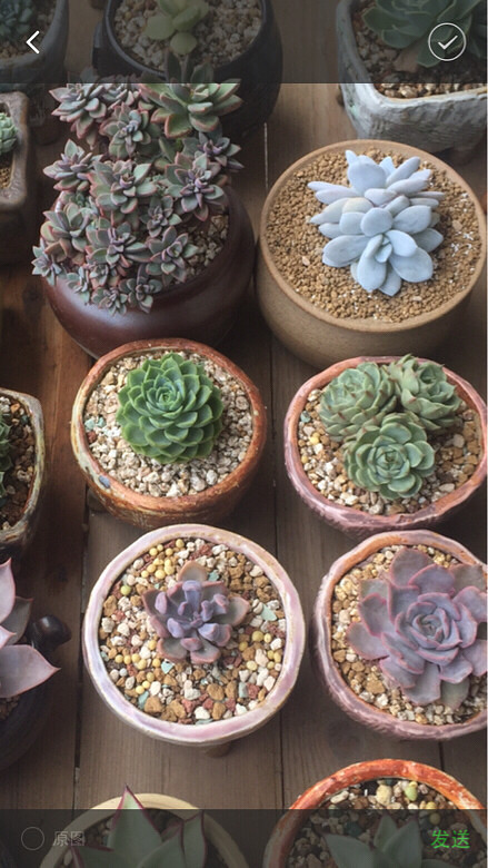 ����ͼ������