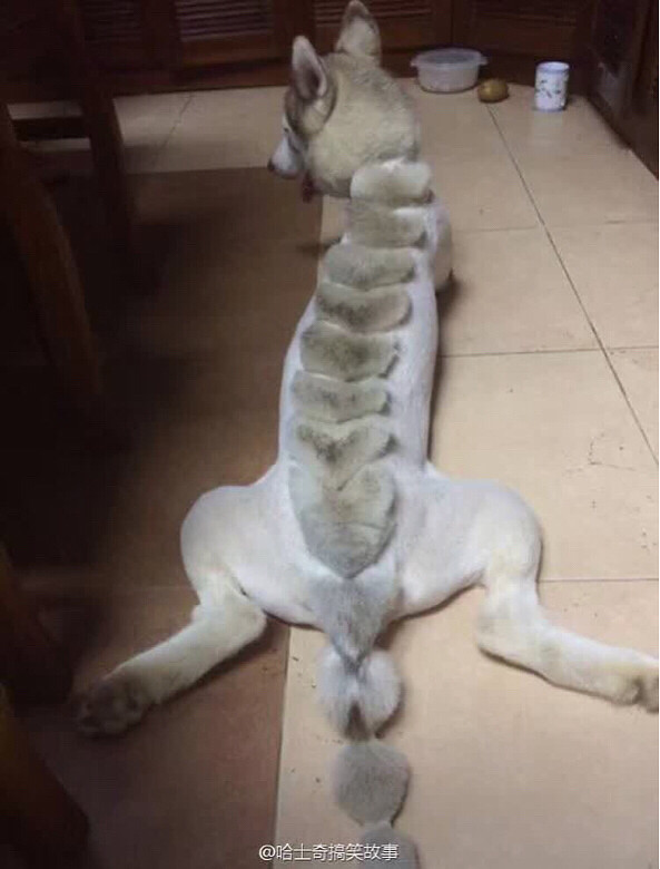 �����͡��������Ѱ���