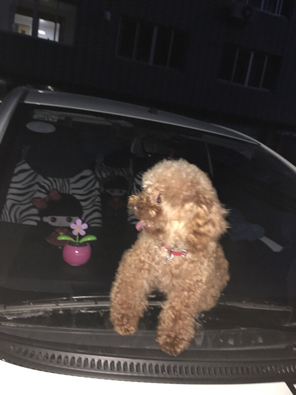 ���Ͽ�ʼ����