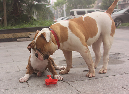 #�ȳ����#+�����Ҽ���ǫ̈̄�����Ĵ����