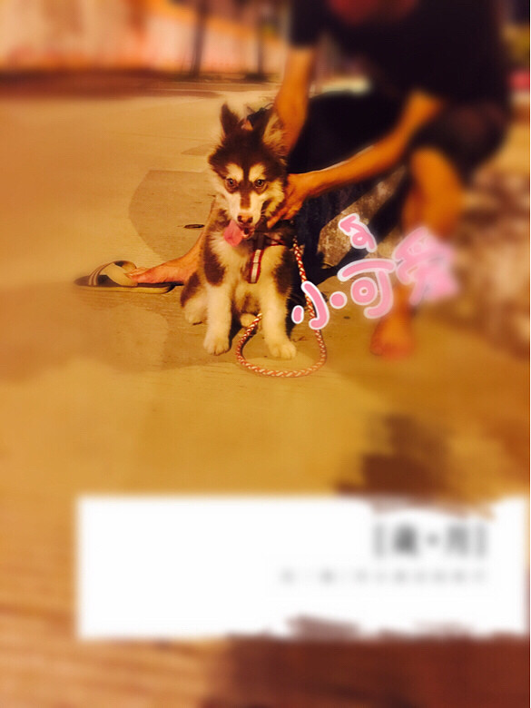 ���죬Ҫ��Ҫ������ë