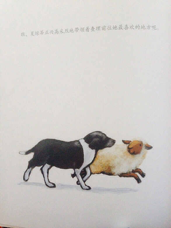 �����»汾�¡��¸ҵ����̵�