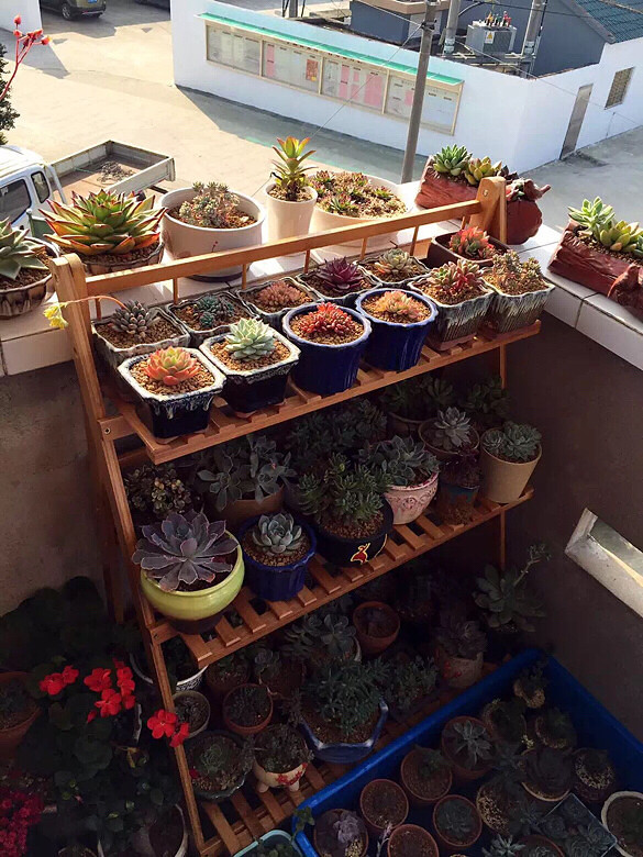 ɹɹ�ҵı�����