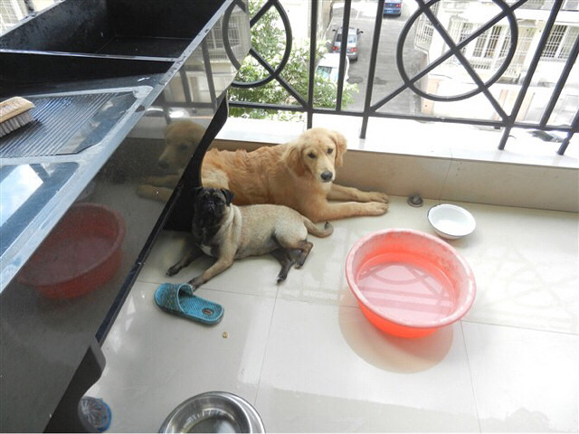 #�ȳ����#�͸����ë�İ���